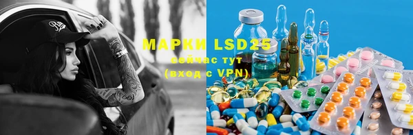 PSILOCYBIN Армянск
